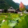 家路part2