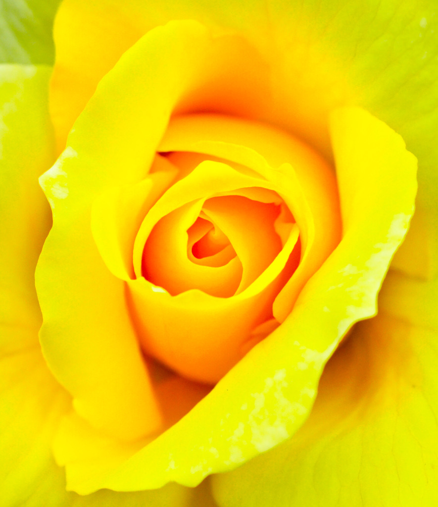 芯の奥には