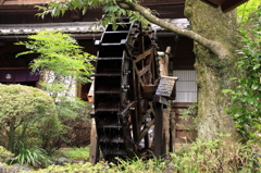 うかい鳥山