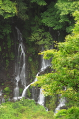 雨のおかげで