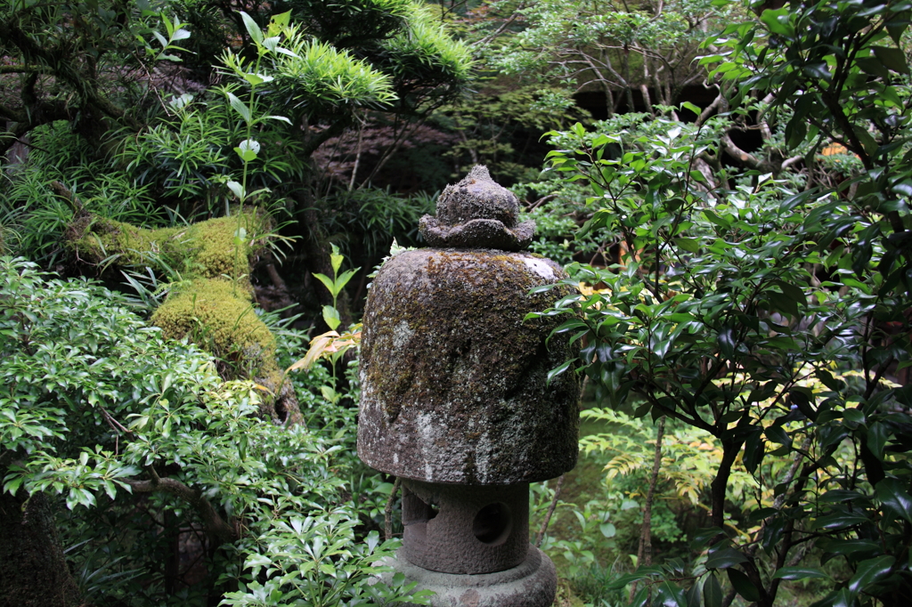 うかい鳥山
