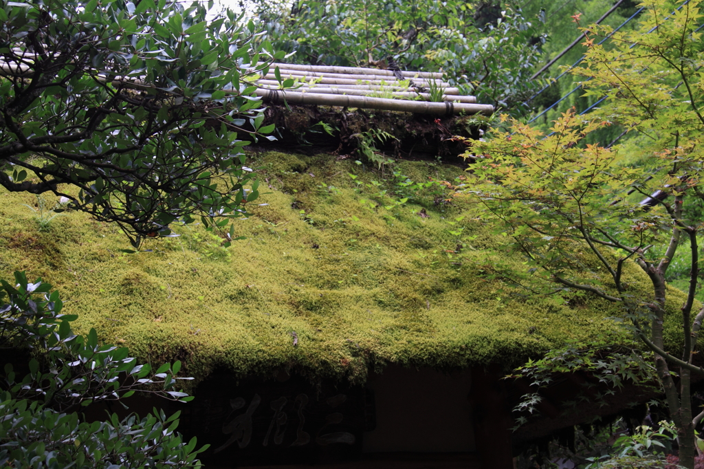 うかい鳥山