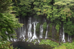 滝撮りはいつも雨