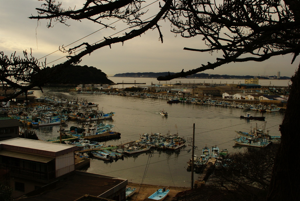 篠島漁港にて