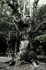 100