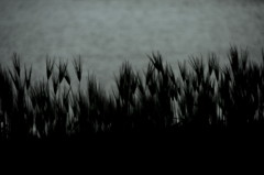 082