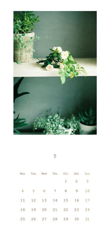 ５月