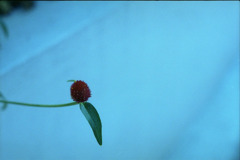 0101