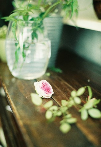 rose
