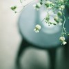 00029