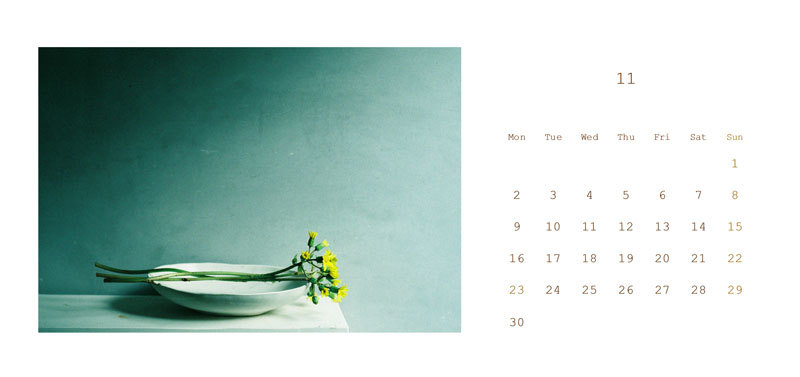 １１月