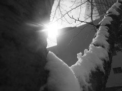 日差しと雪