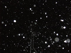 よりによって大雪の日
