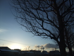 冷える手と温まる心