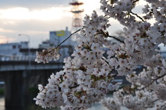 日が落ちる