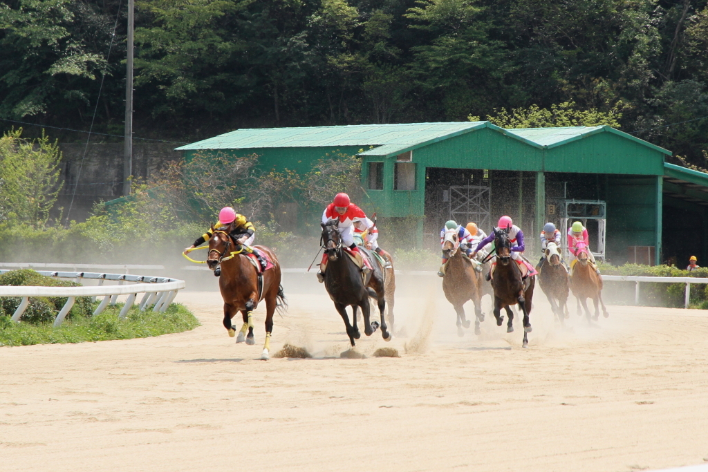 佐賀競馬場3