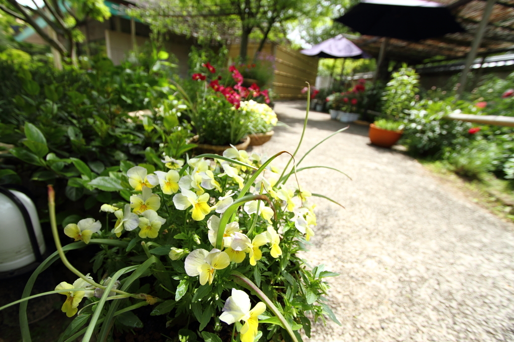 箱崎　花庭園
