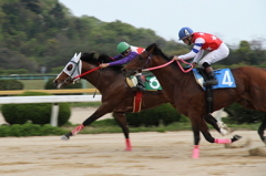 佐賀競馬場2