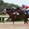 佐賀競馬場2