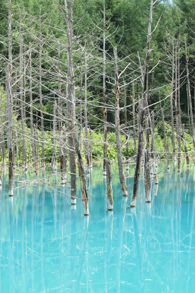 青い池2