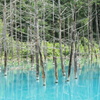 青い池（北海道）