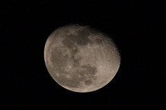 MOON