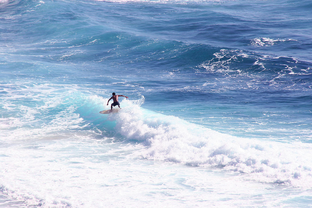surf