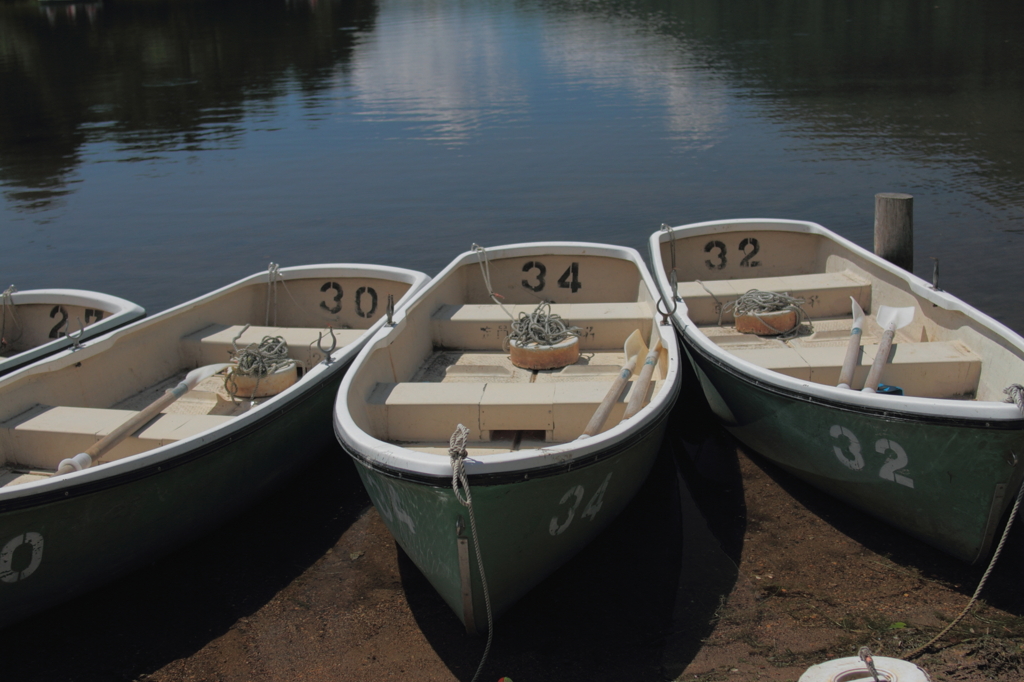 避暑地の湖にて２