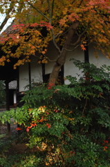 旅人かえらず３