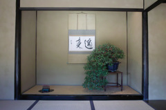 盆栽亭にて