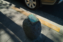 読まれざる書物