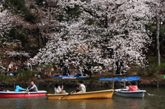 春　幸福の条件