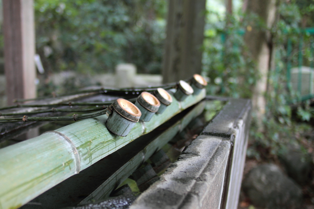 静物３　神社にて