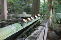 静物３　神社にて