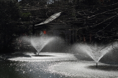 冬の噴水２