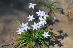 力強く･･･！