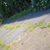 ぽかぽか日向ぼっこ。