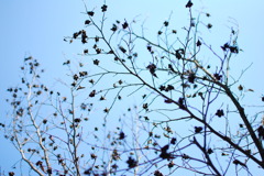 初夏へ向けての準備期間。