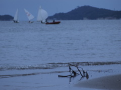 寂しげな海