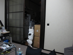 のあ３