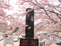 桜2.1