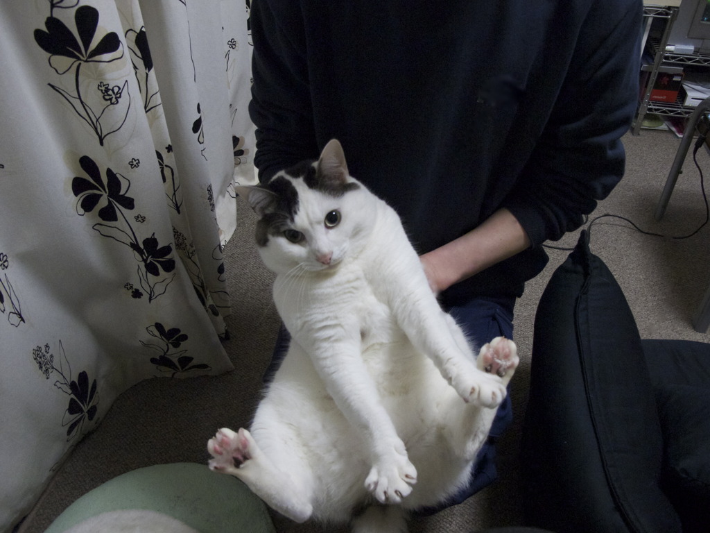 のあ６
