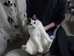 のあ６