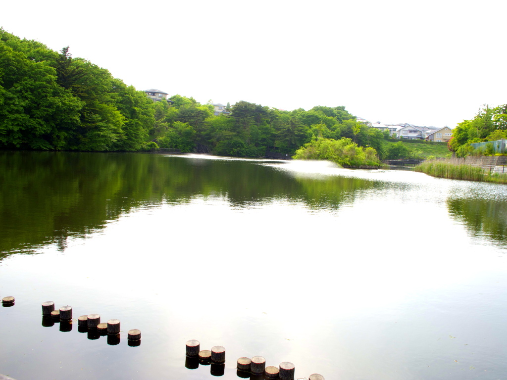 近所の公園１