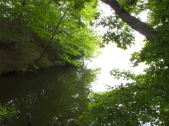 近所の公園２