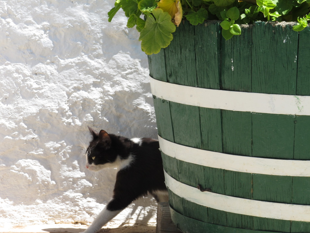 ギリシャ旅行の寸景