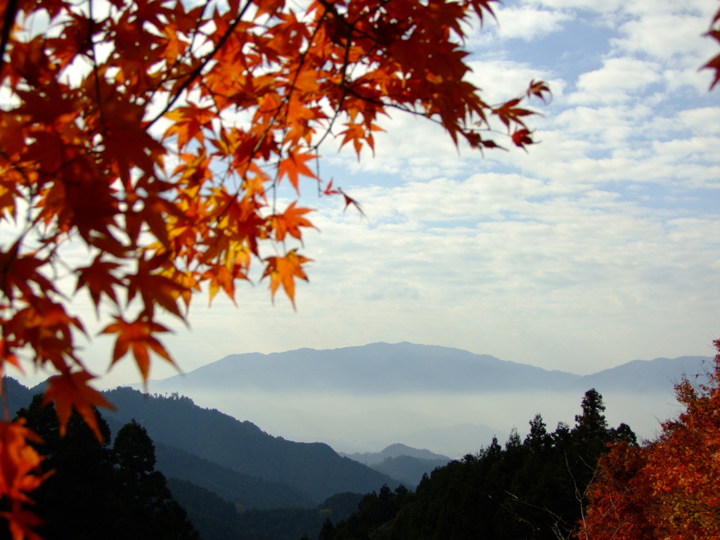 多武峯の秋