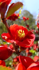 DSCF3272