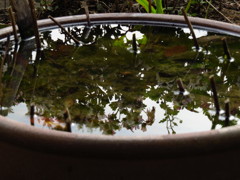 IMG_0220