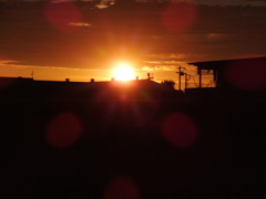 DSCF3917